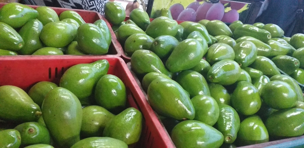 Aguacate papelillo