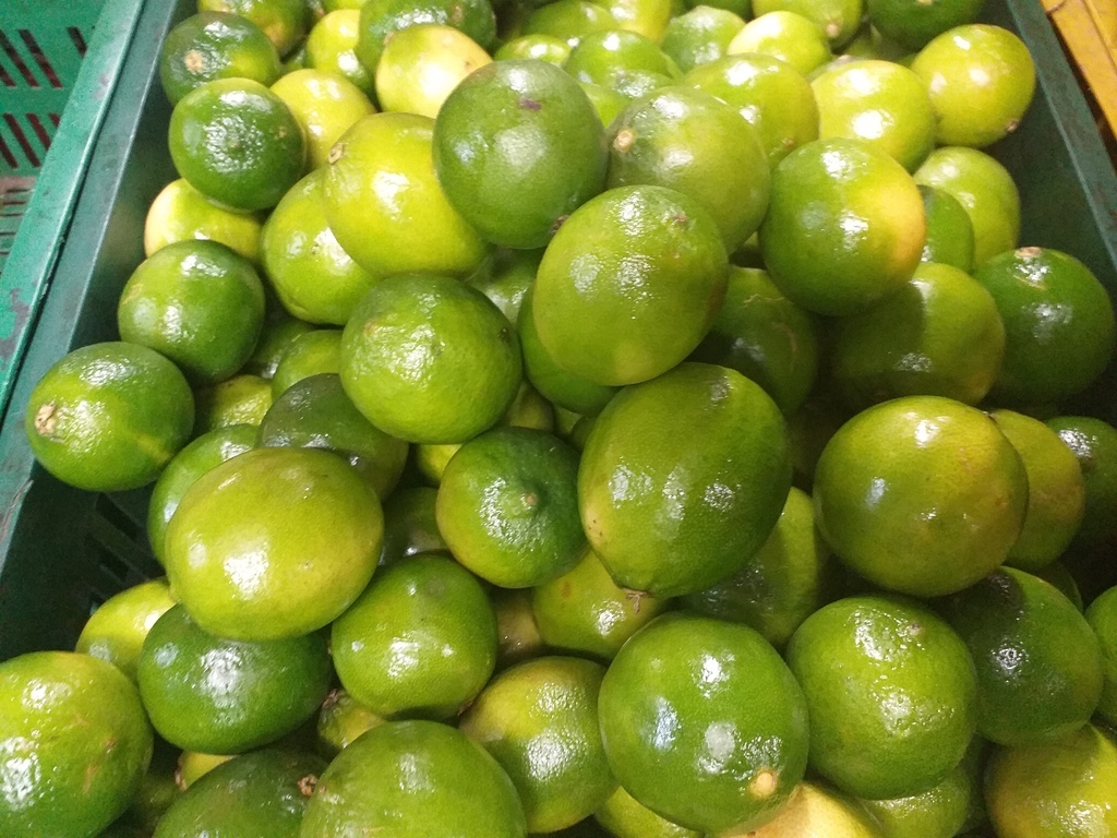 Limon tahiti
