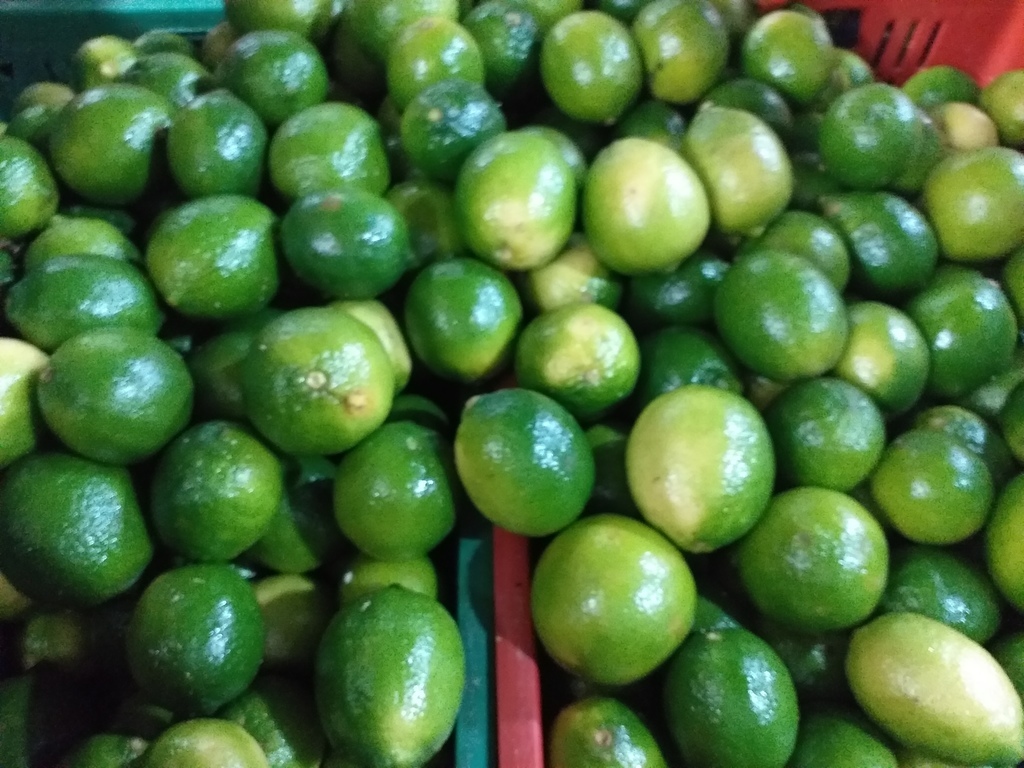 Limon tahiti