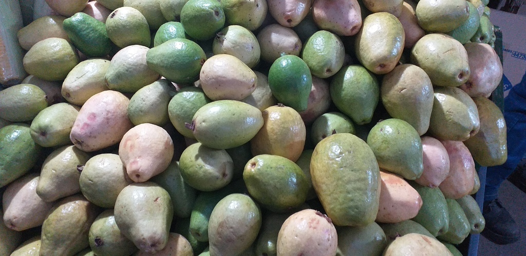 Guayaba pera