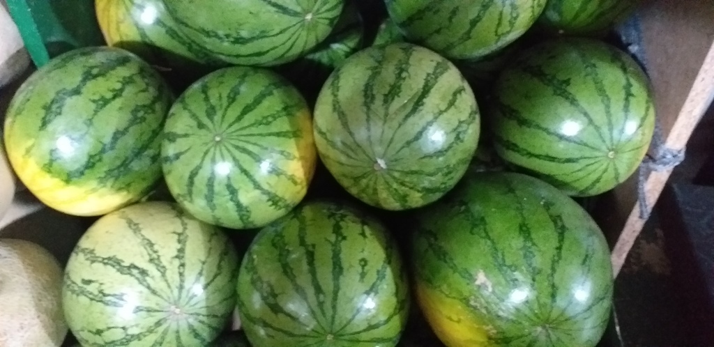 Sandia baby