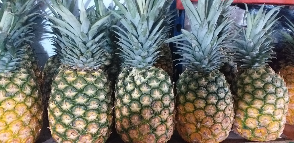 Piña oromiel