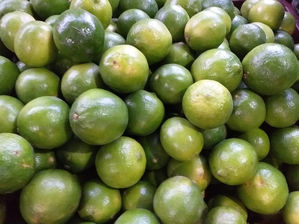 Limon tahiti