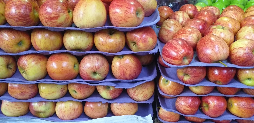 Manzana gala