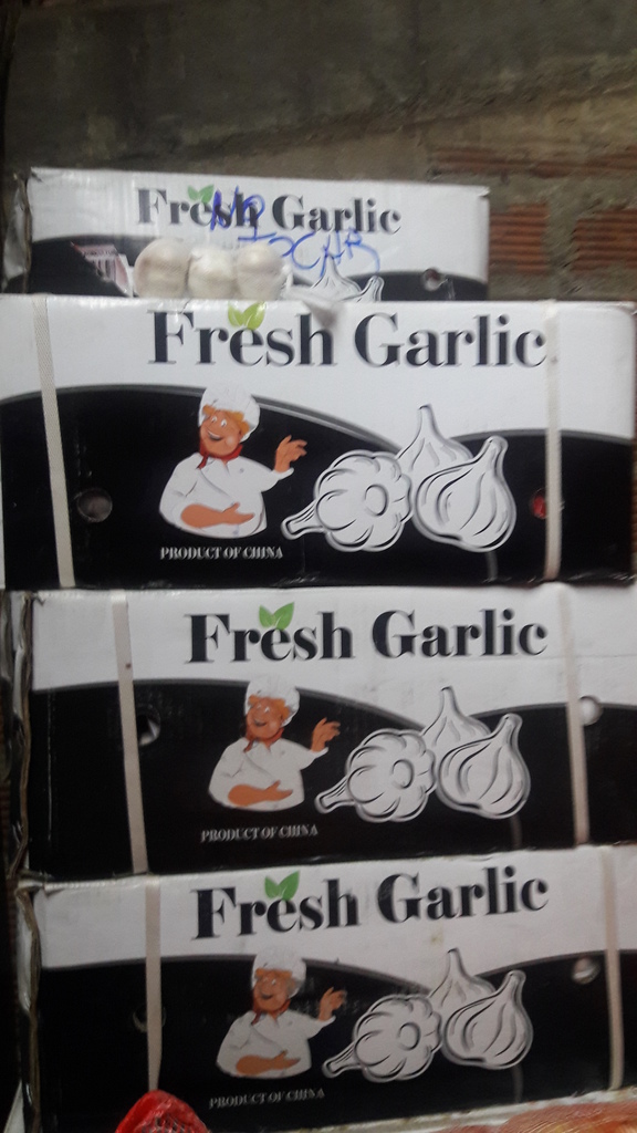 Ajo  en malla