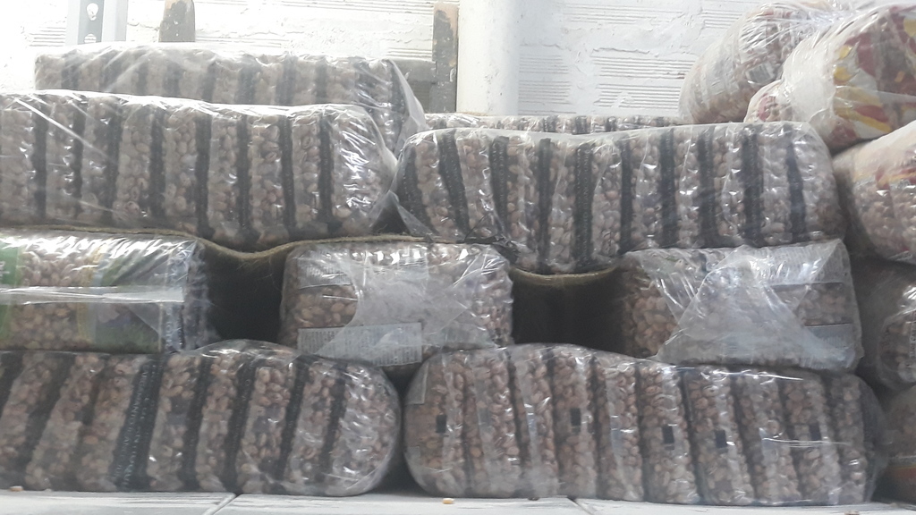 Frijol Cargamanto Blanco Forti Forma *25Lb