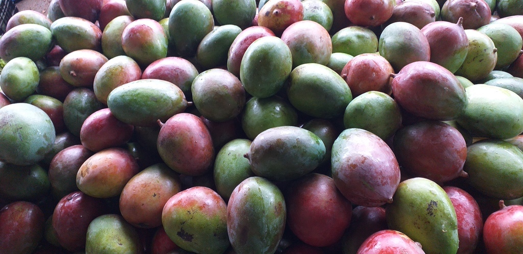 Mango farchi