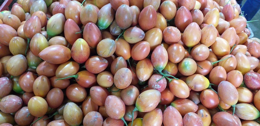 Tomate de arbol
