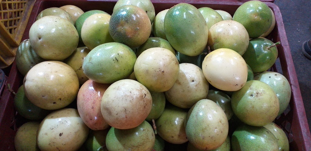Maracuya