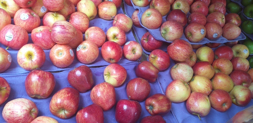 Manzana gala