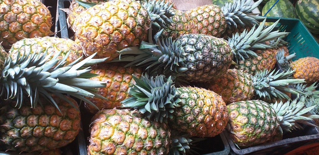 Piña oromiel