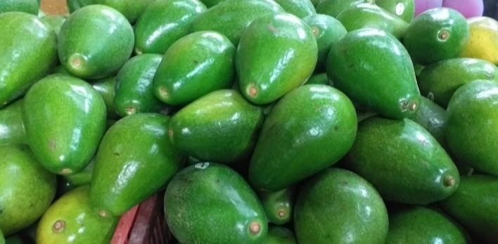 Aguacate papelillo