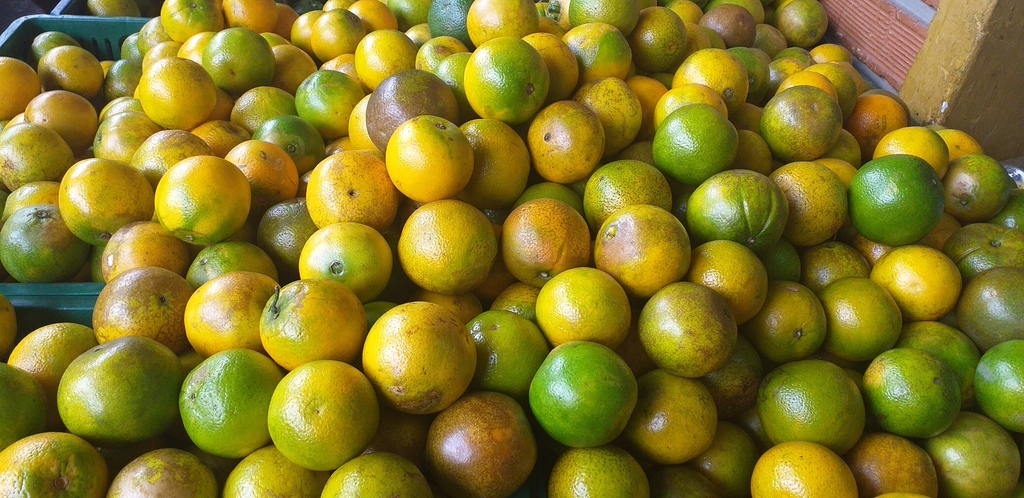 Naranja valencia