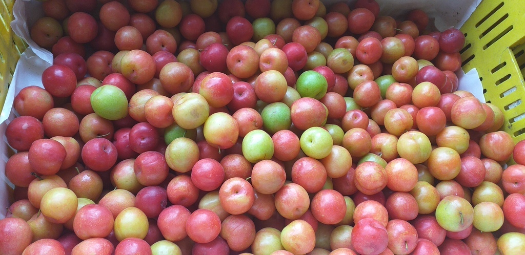 Ciruelas