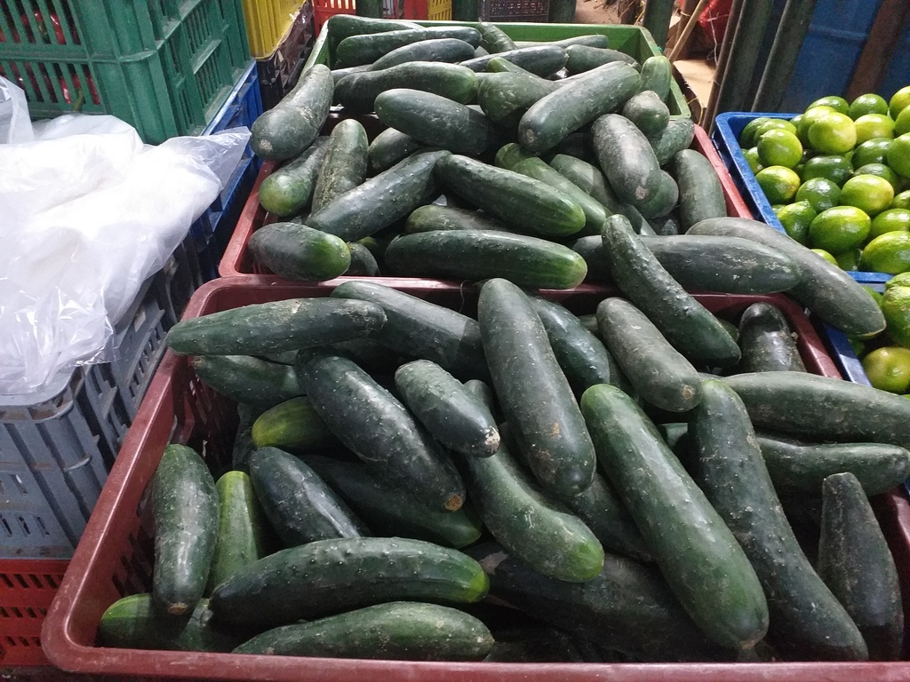 Pepino