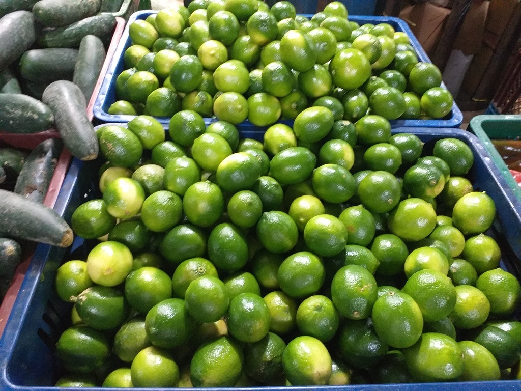 Limon tahiti