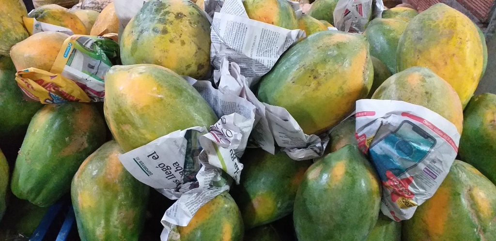 Papaya costeña