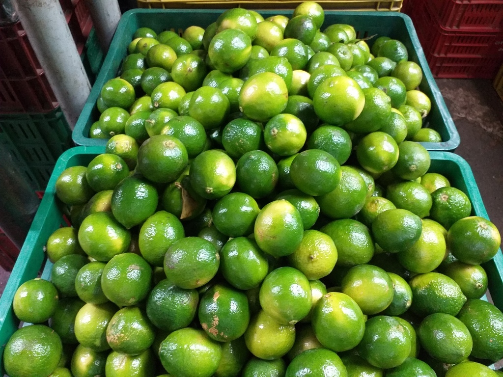 Limon tahiti