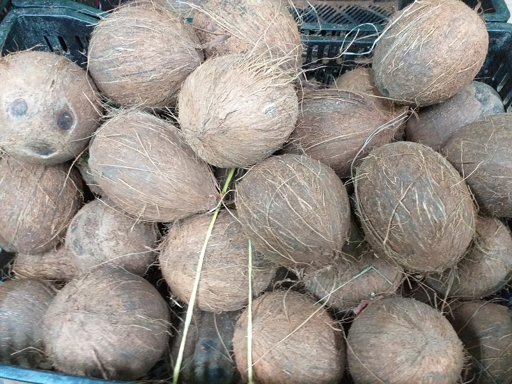 Coco
