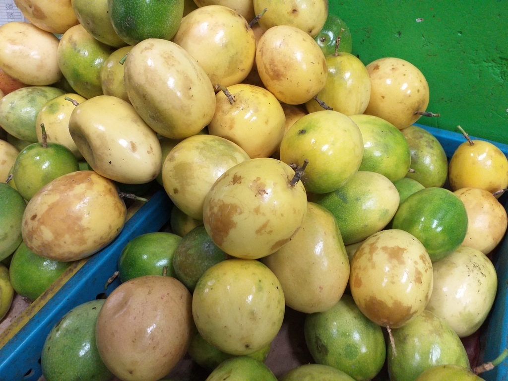 Maracuya