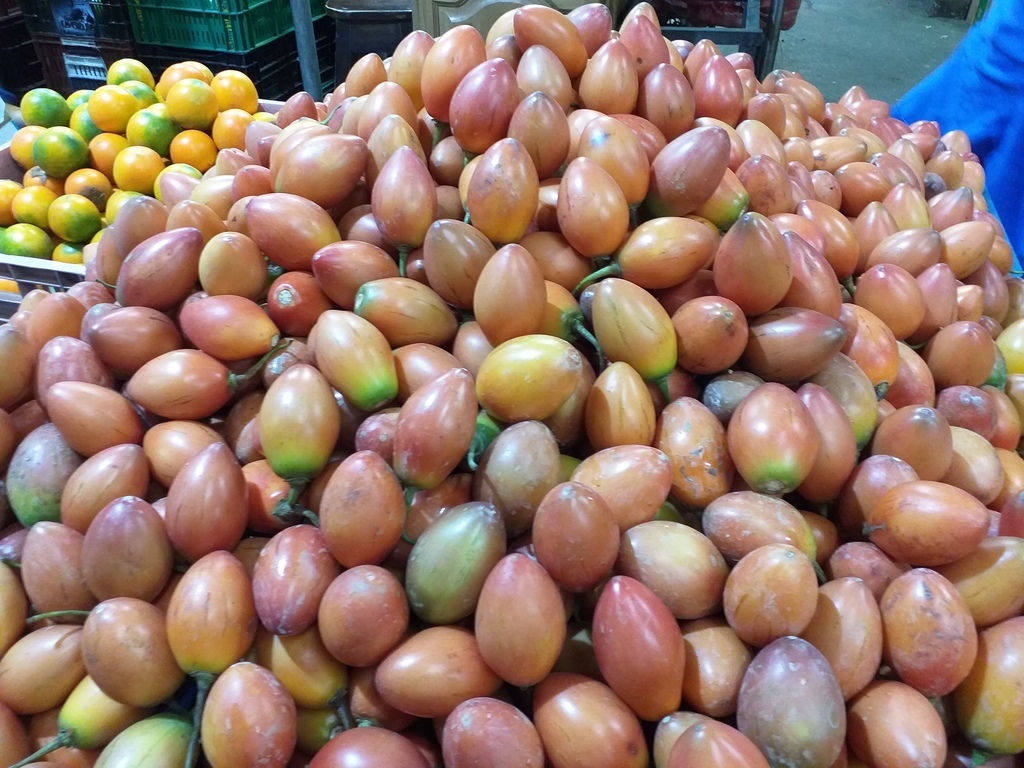 Tomate de arbol