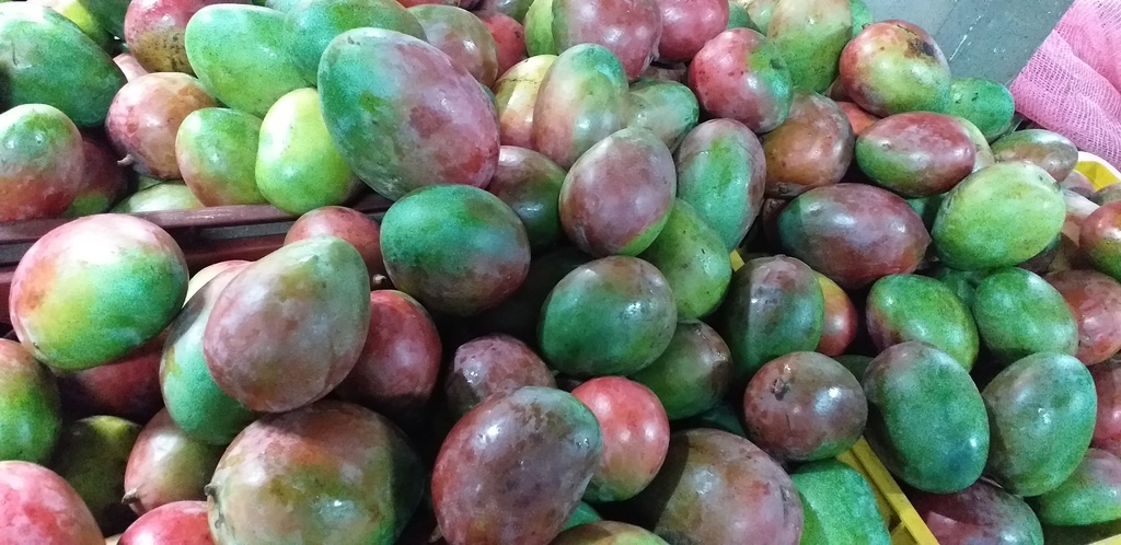 Mango farchi