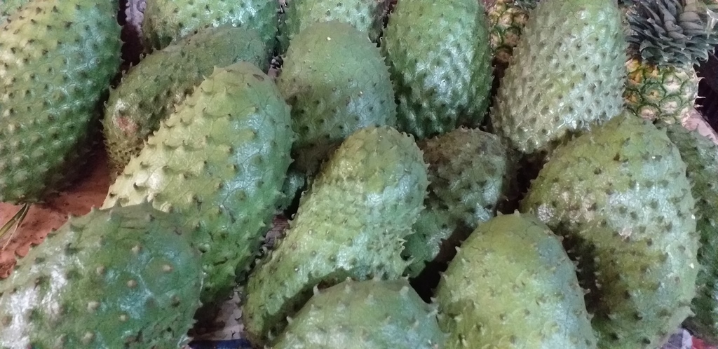 Guanabana