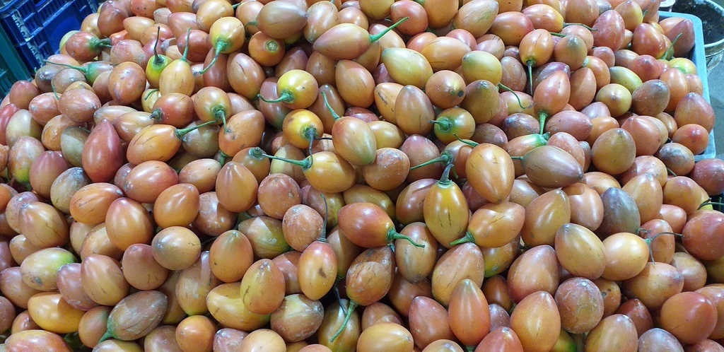 Tomate de arbol