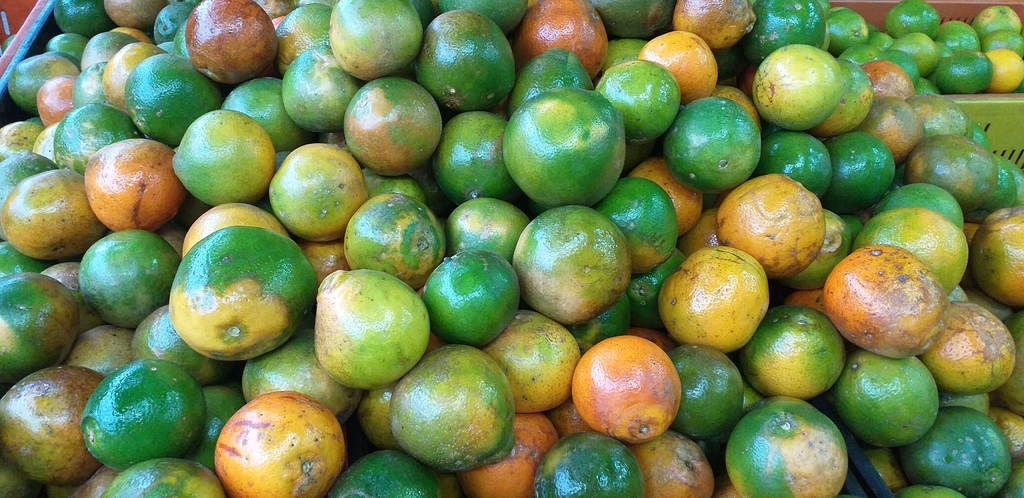 Tangelo