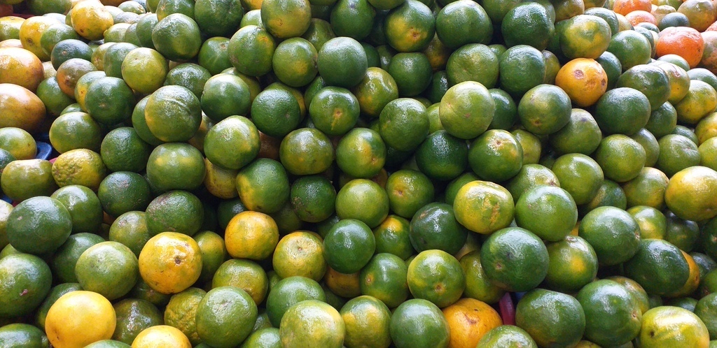 Mandarina de 2da
