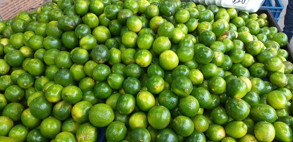 Limon tahiti