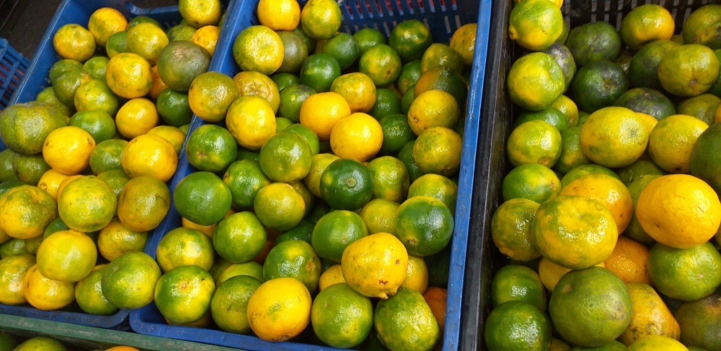 Mandarina oneca