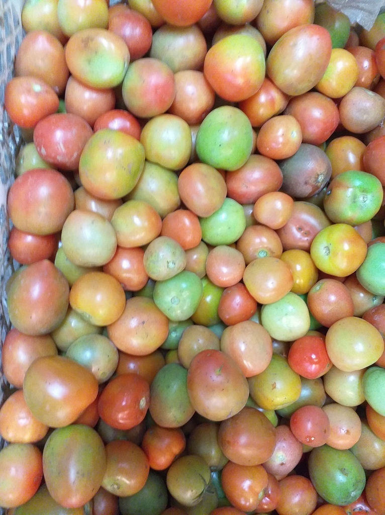 Tomate de aliño