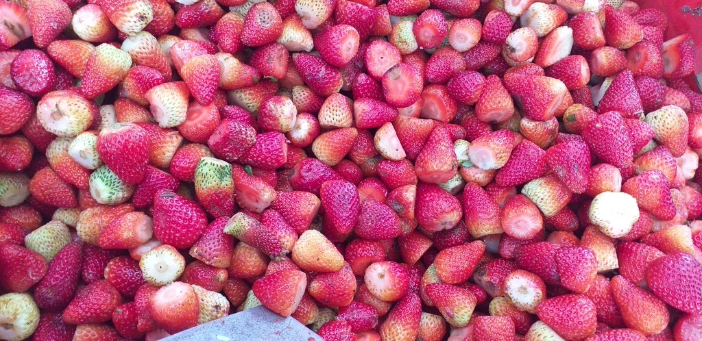 Fresa gruesa