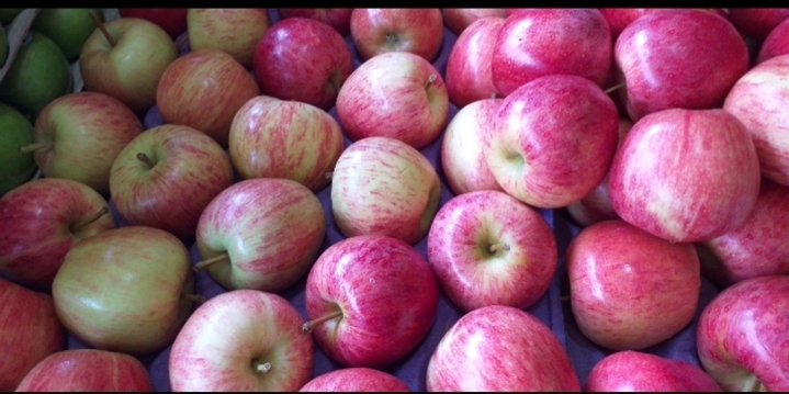 Manzana gala