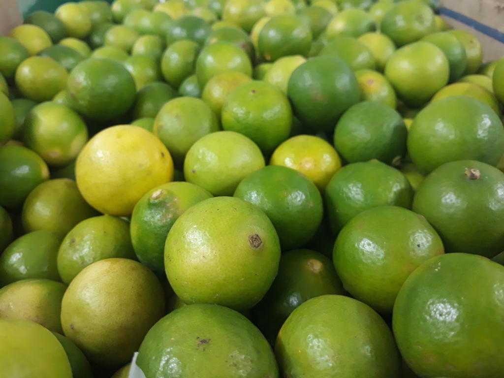 Limón