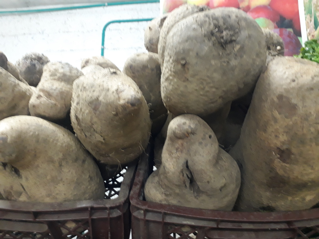 Ñame