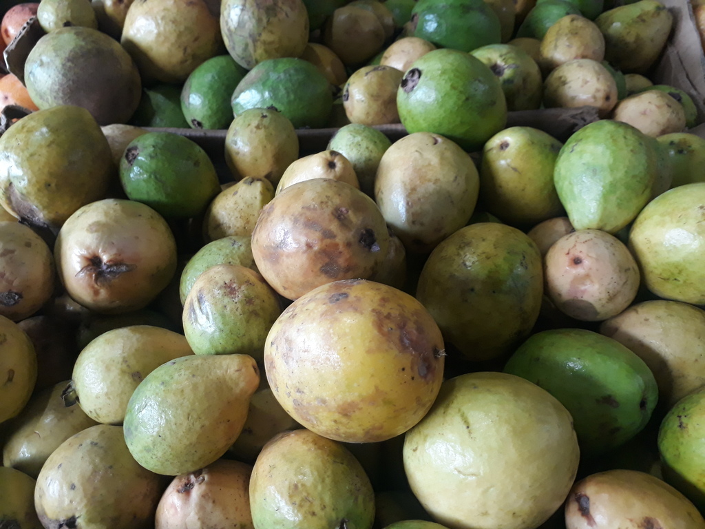 Guayaba dulce