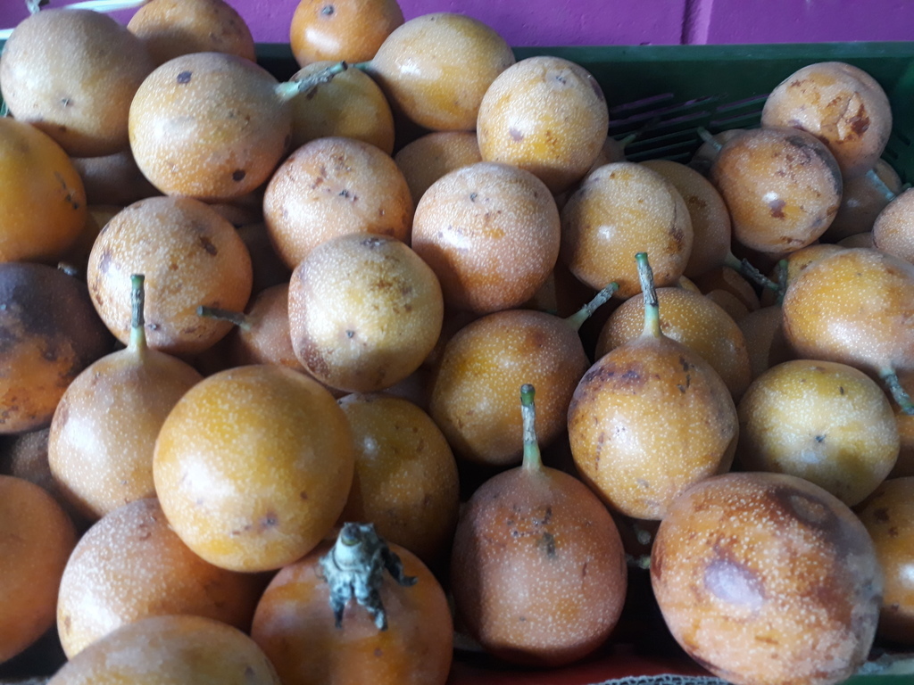 Granadilla