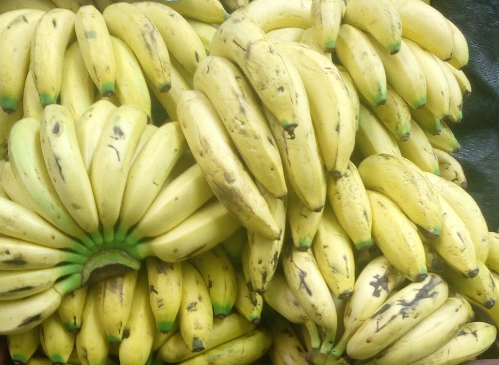 Banano