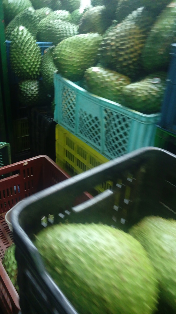 Guanabana