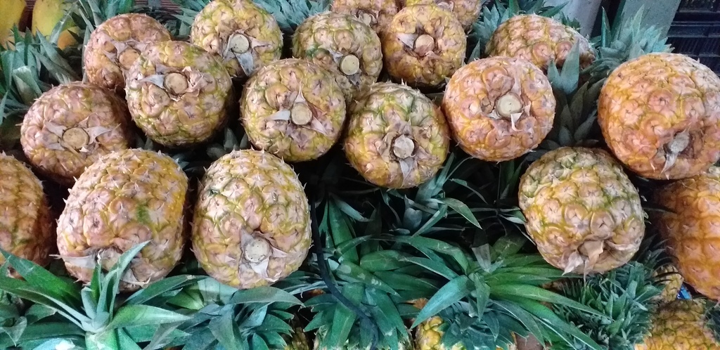 Piña oromiel