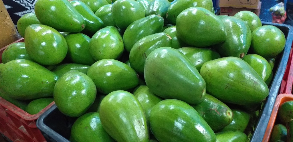 Aguacate papelillo