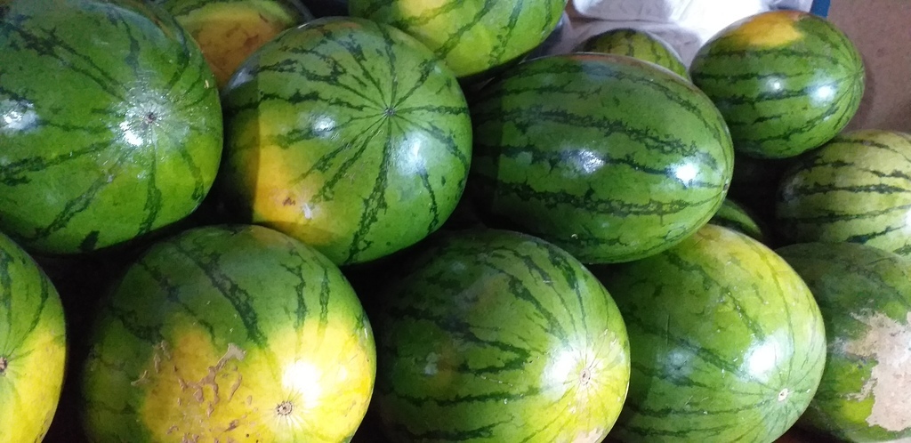 Sandia baby