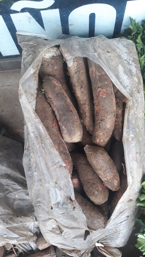 Yuca