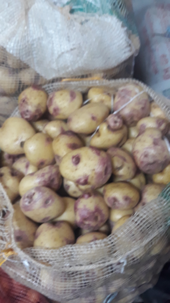 Papá Nevada