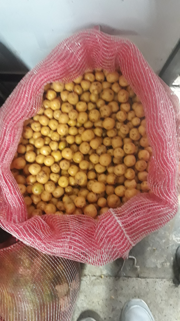 Papá criolla Balina