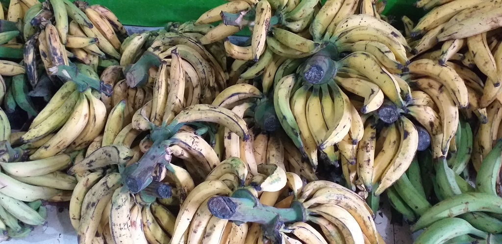Platano maduro