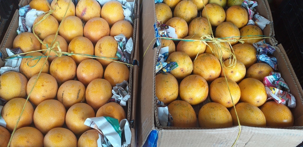 Granadilla extra