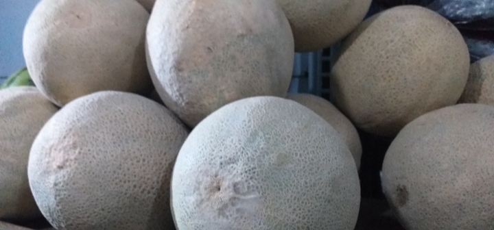 Melon
